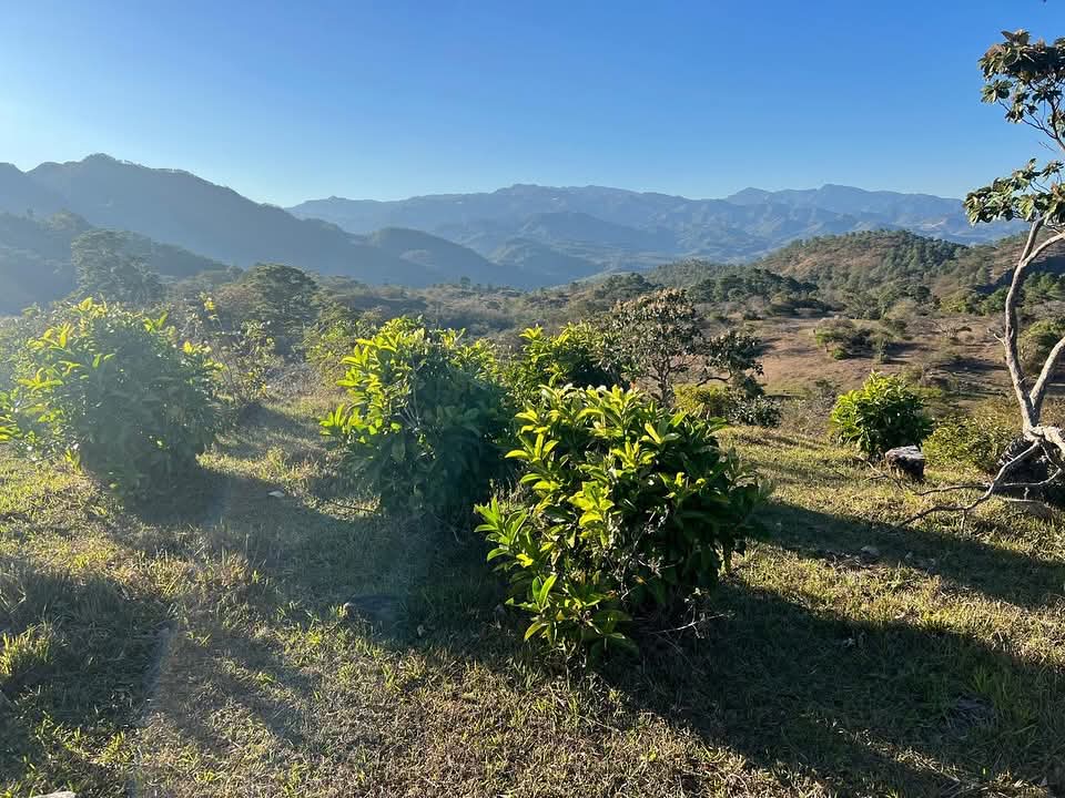 CHALATENANGO SAN IGNACIO 