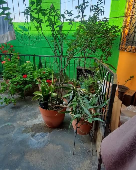 CASA COJUTRPEQUE BARRIO COCEPCION