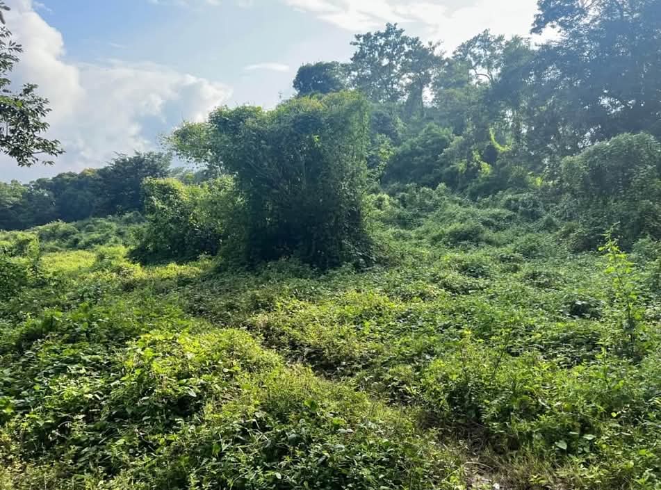 HUIZUCAR CANTON TILAPA LA LIBERTAD