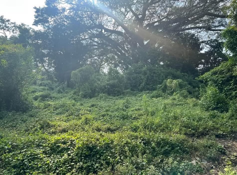 HUIZUCAR CANTON TILAPA LA LIBERTAD 