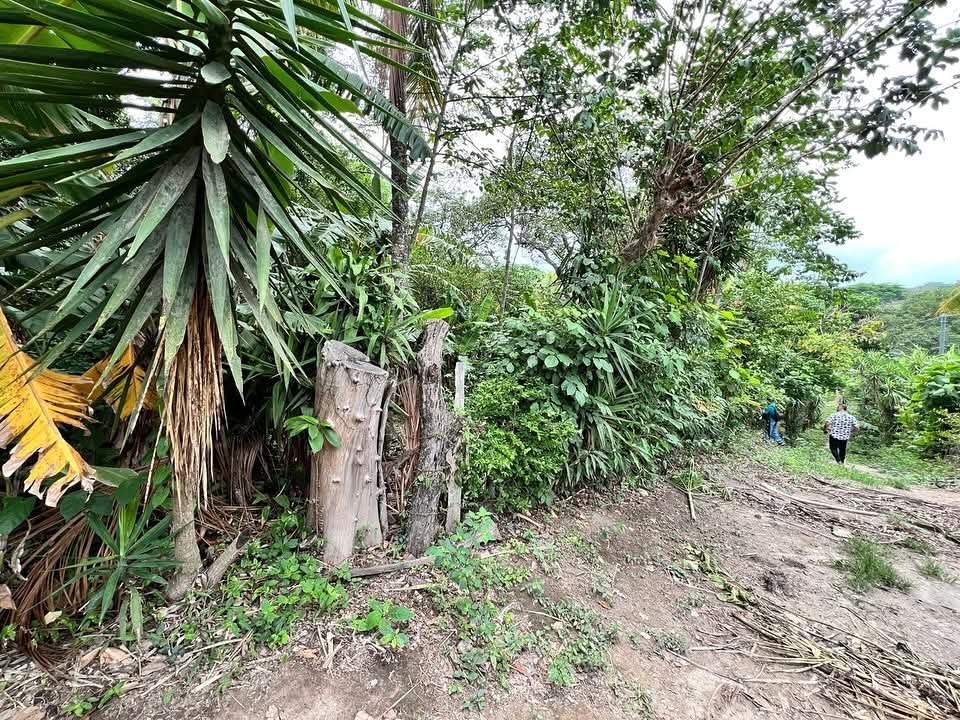 HUIZUCAR EL JOBO LA LIBERTAD