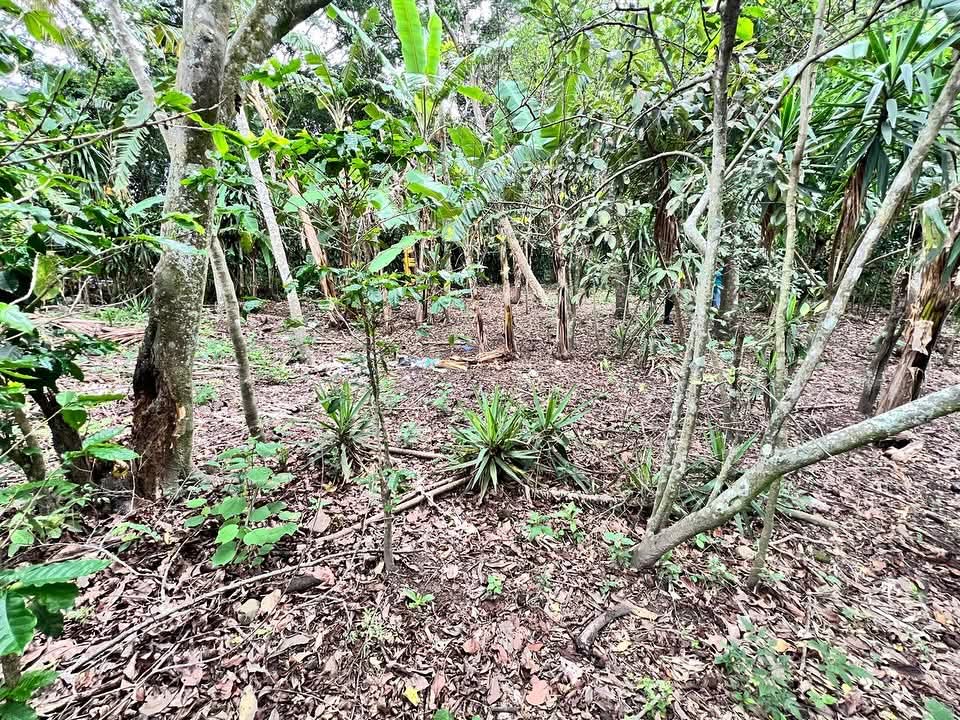 HUIZUCAR EL JOBO LA LIBERTAD 