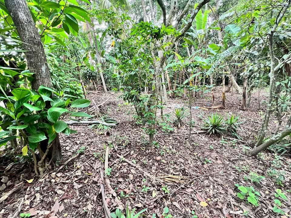 HUIZUCAR EL JOBO LA LIBERTAD 