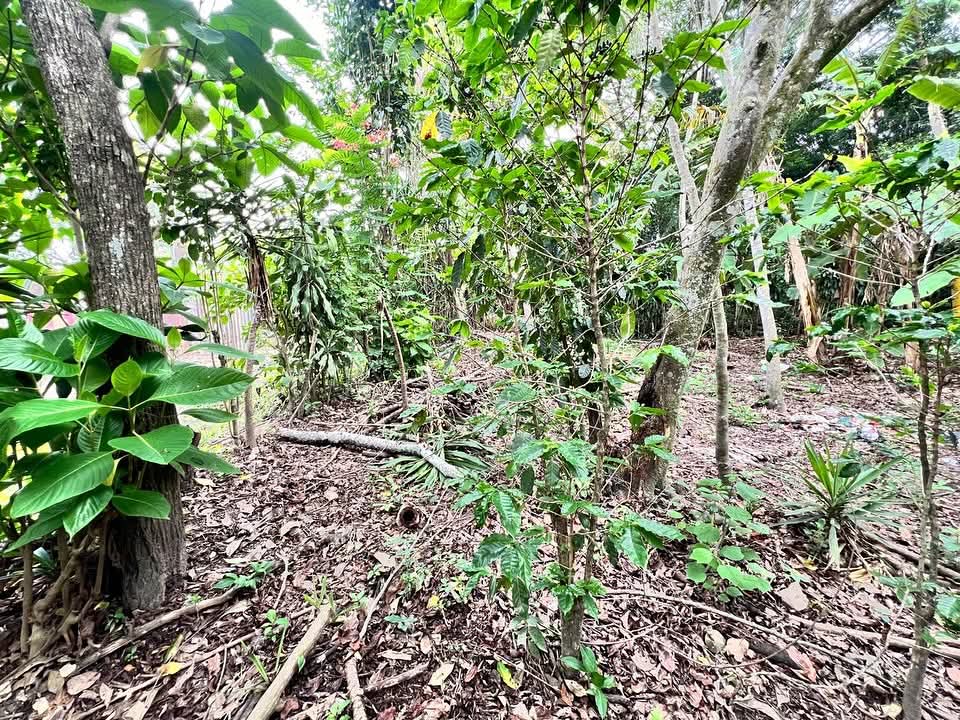 HUIZUCAR EL JOBO LA LIBERTAD 