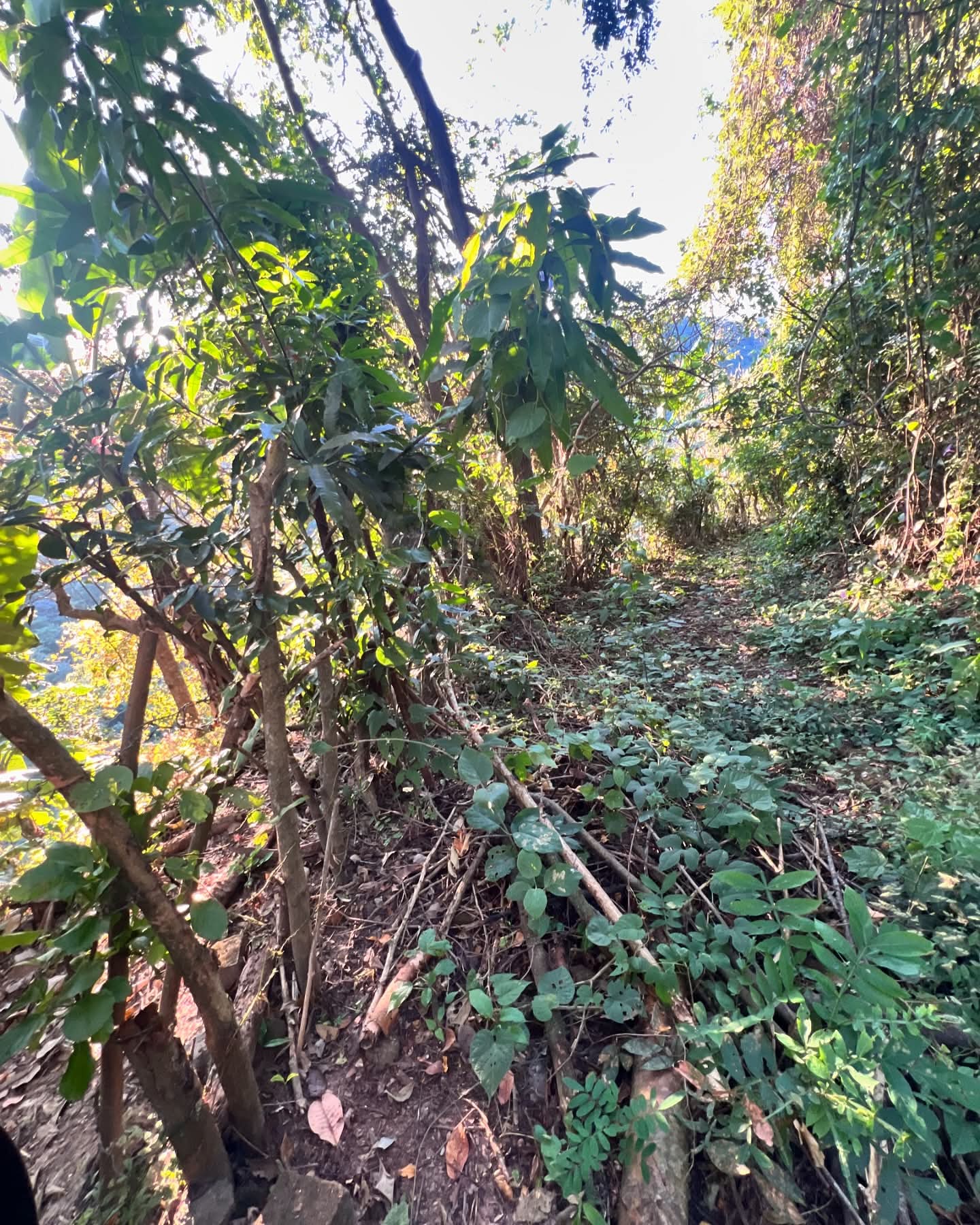 HUIZUCAR TILAPA1 LA LIBERTAD 