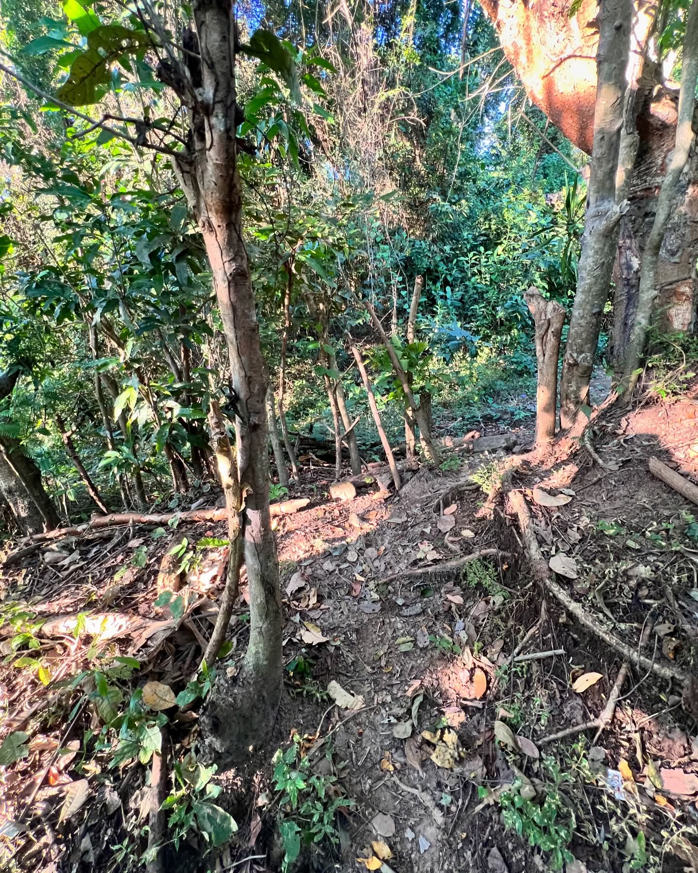 HUIZUCAR TILAPA1 LA LIBERTAD 