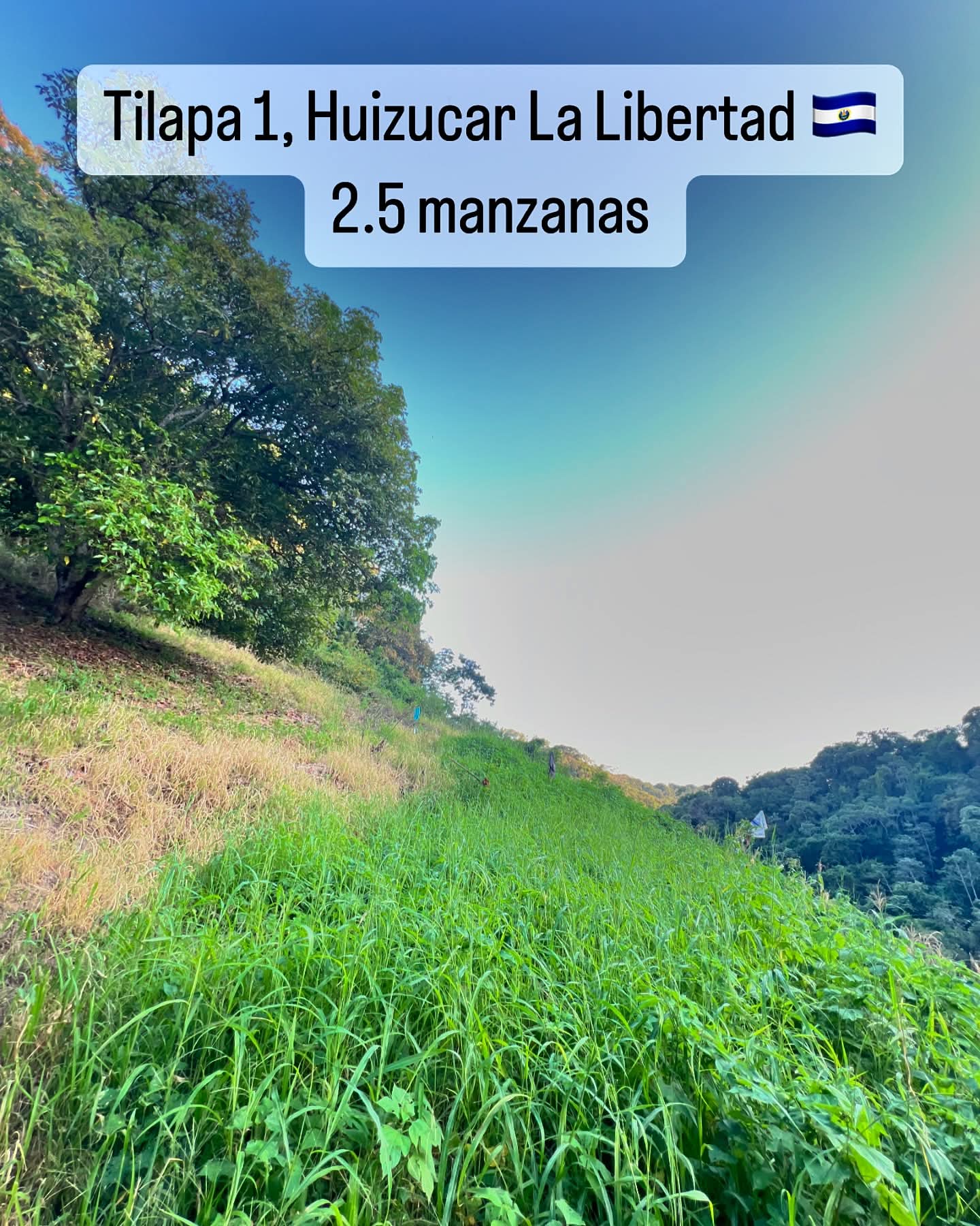 HUIZUCAR TILAPA1 LA LIBERTAD