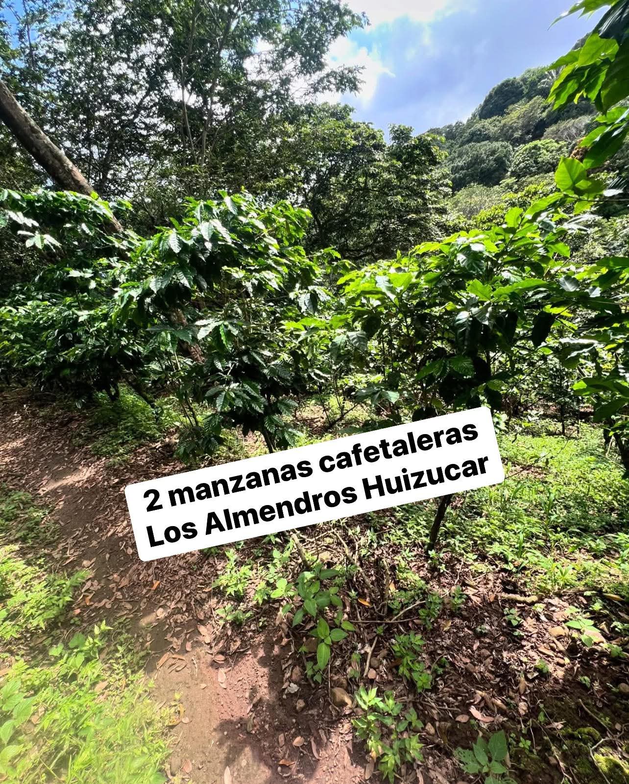 HUIZUCAR CASERIO EL ALMENDRO LA LIBERTAD 1.5 MANZANAS