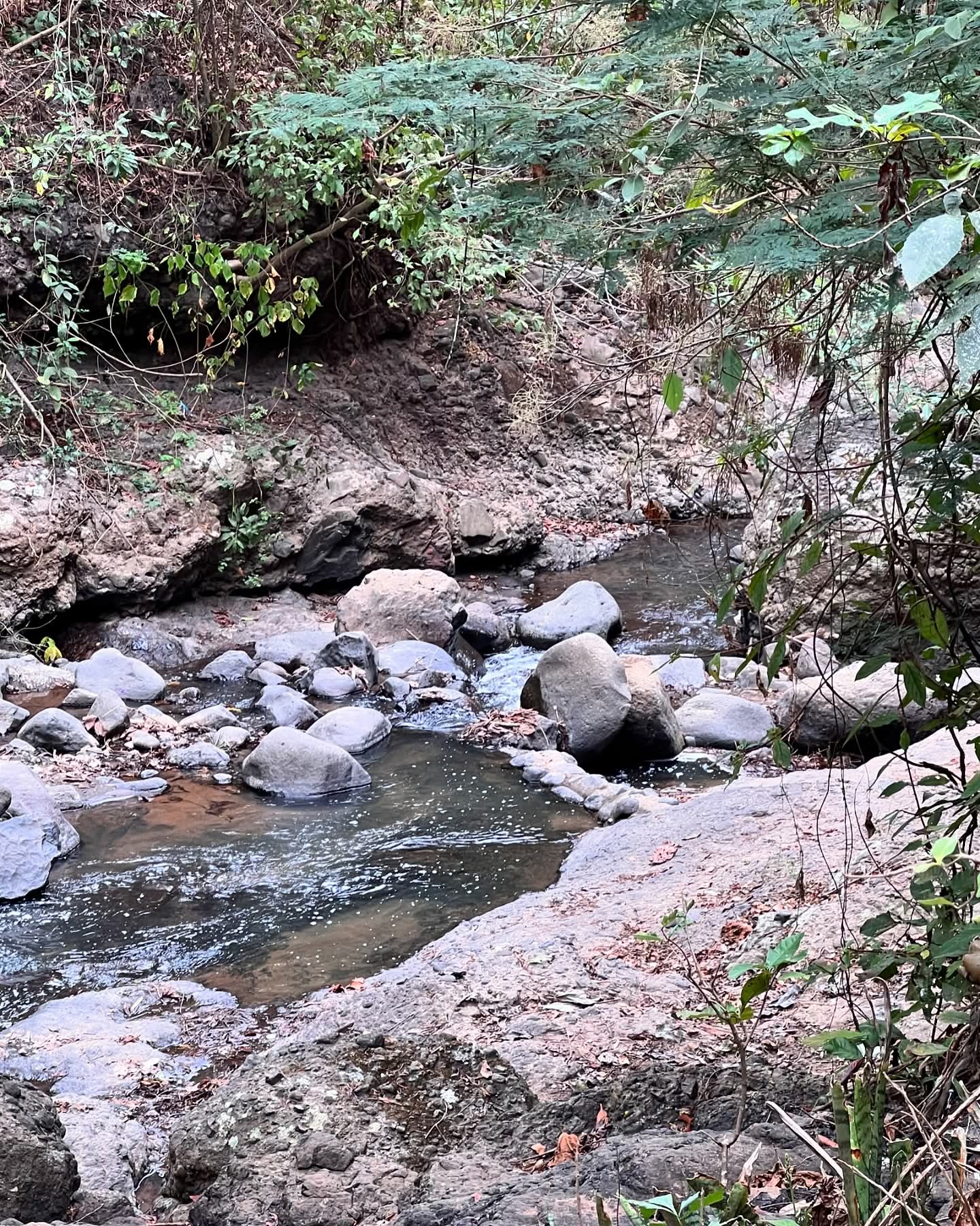 HUIZUCAR 5.5 MANZANAS CON NACIMIENTO Y RIO 