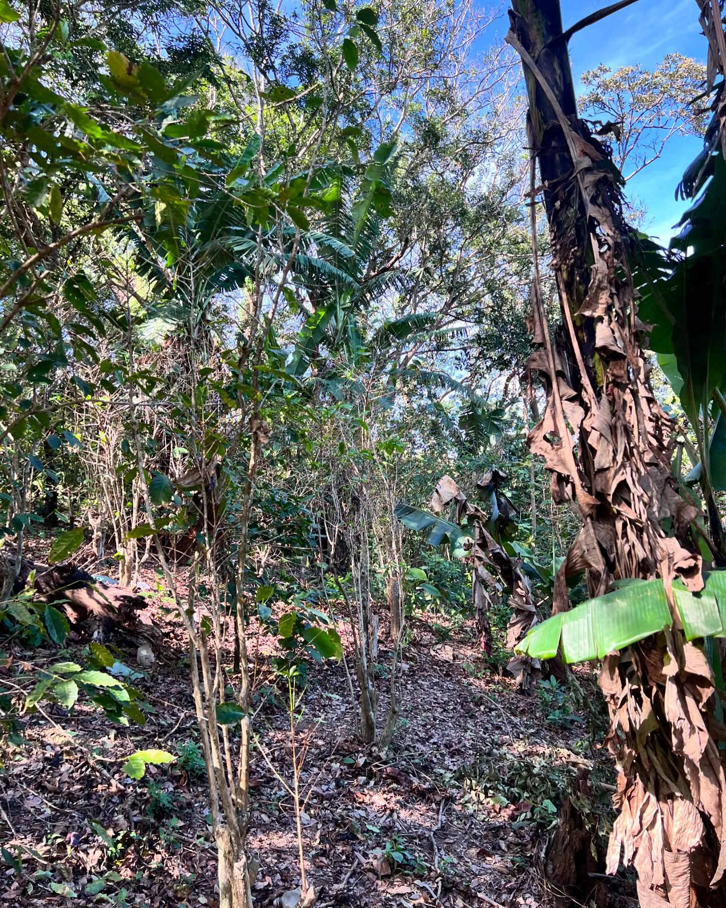 HUIZUCAR CANTON NAZARETH