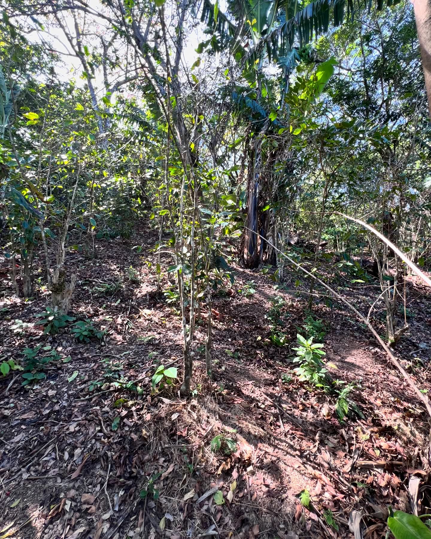 HUIZUCAR CANTON NAZARETH