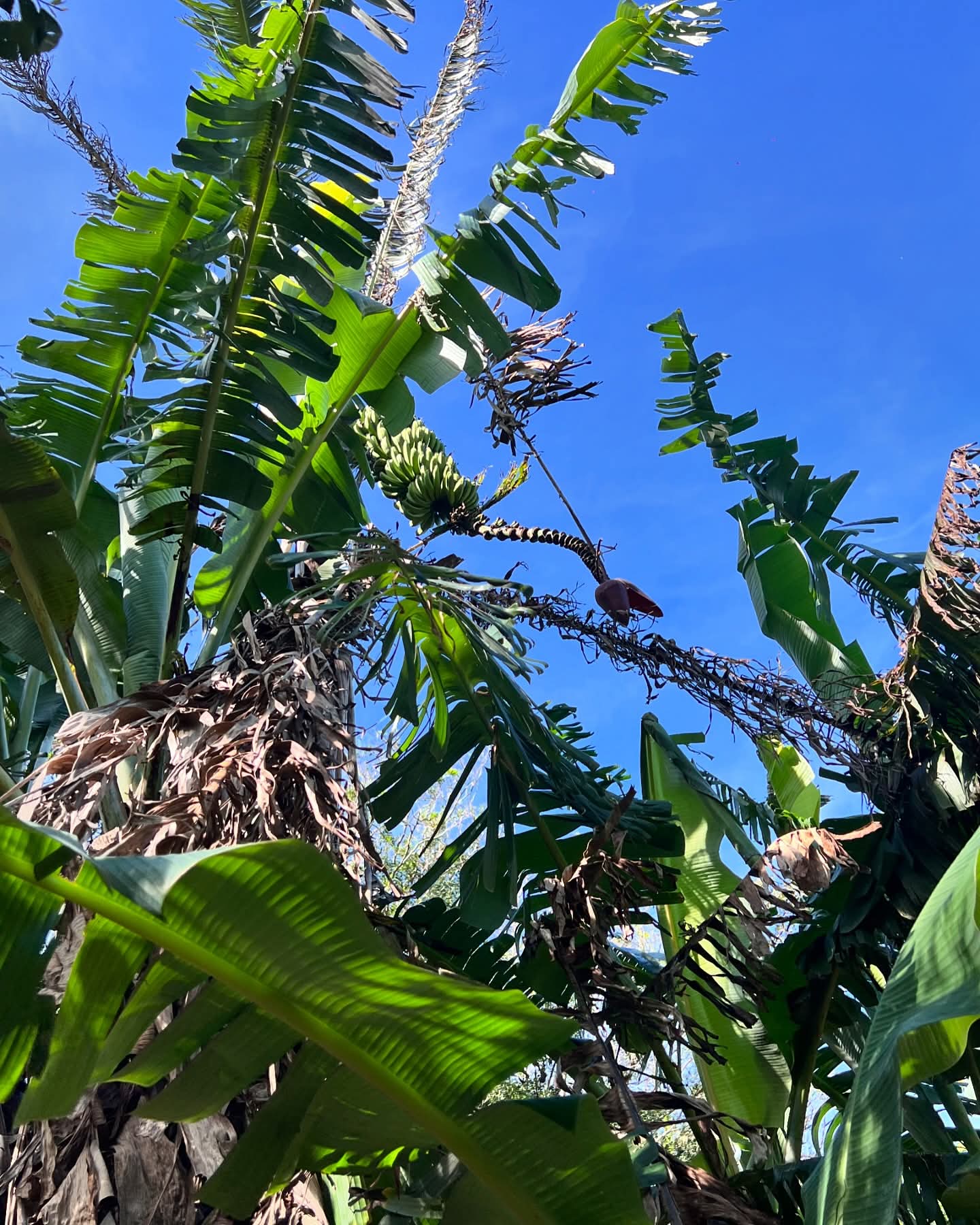 HUIZUCAR CANTON NAZARETH