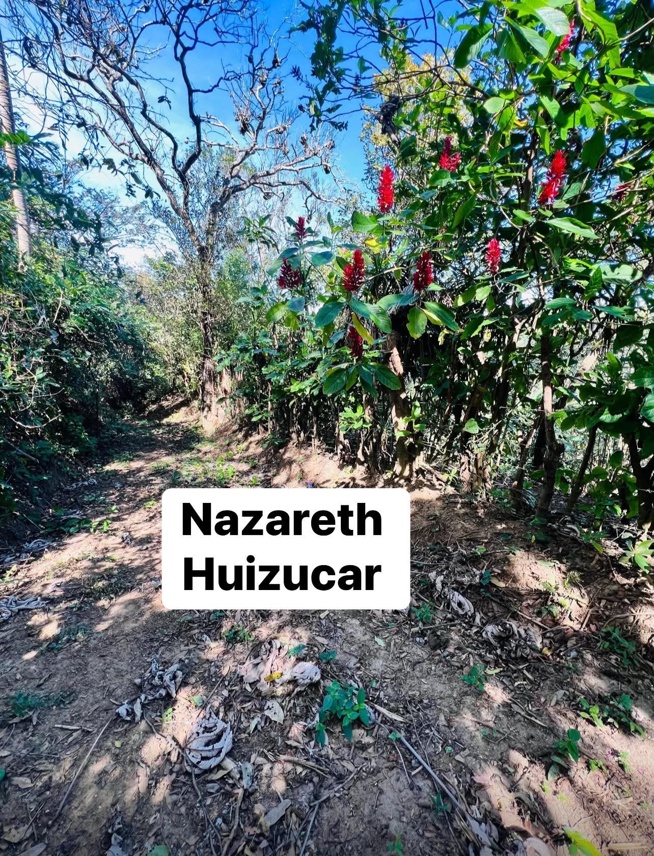 HUIZUCAR CANTON NAZARETH