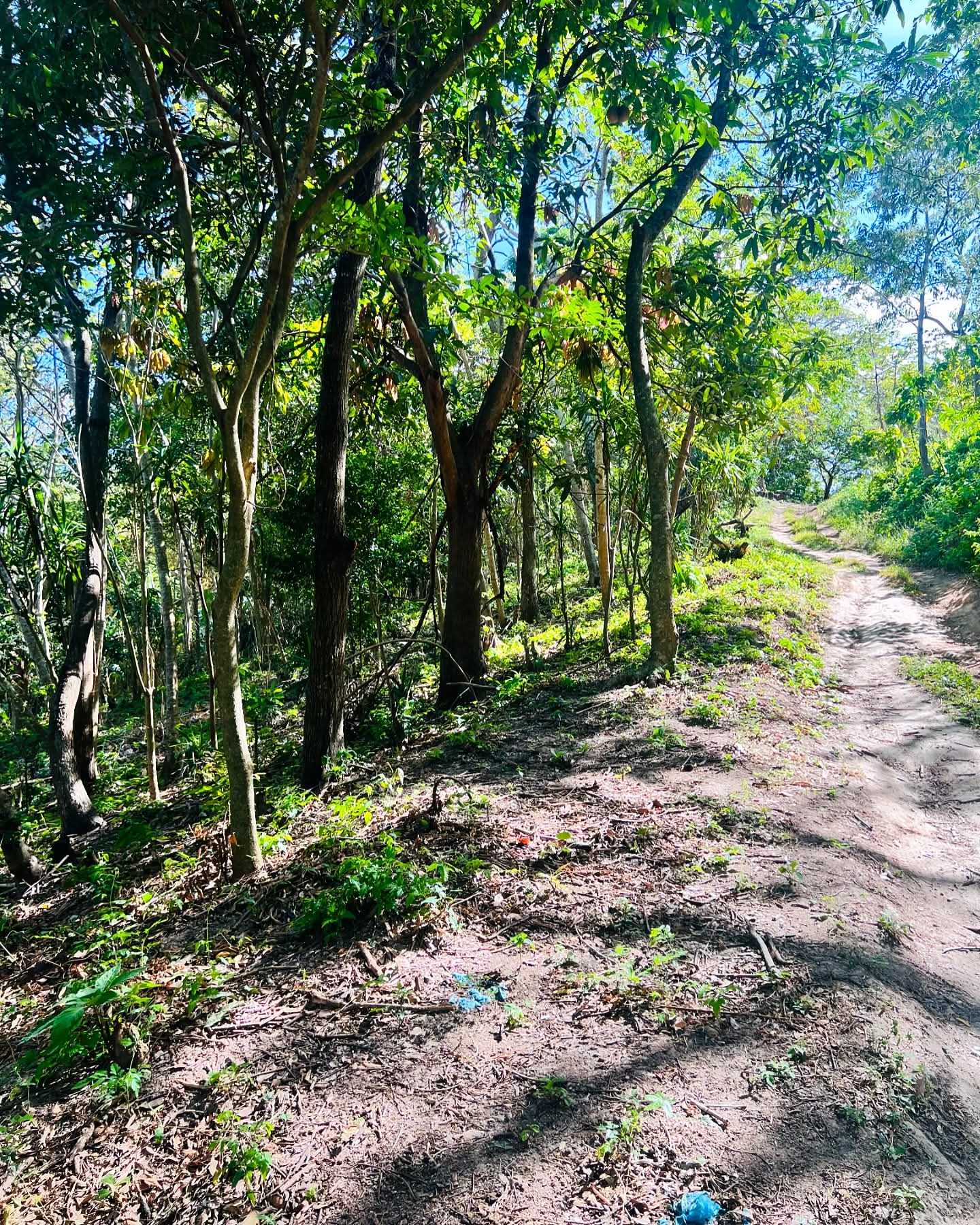 HUIZUCAR LOS ALMENDRO LA LIBERTAD 