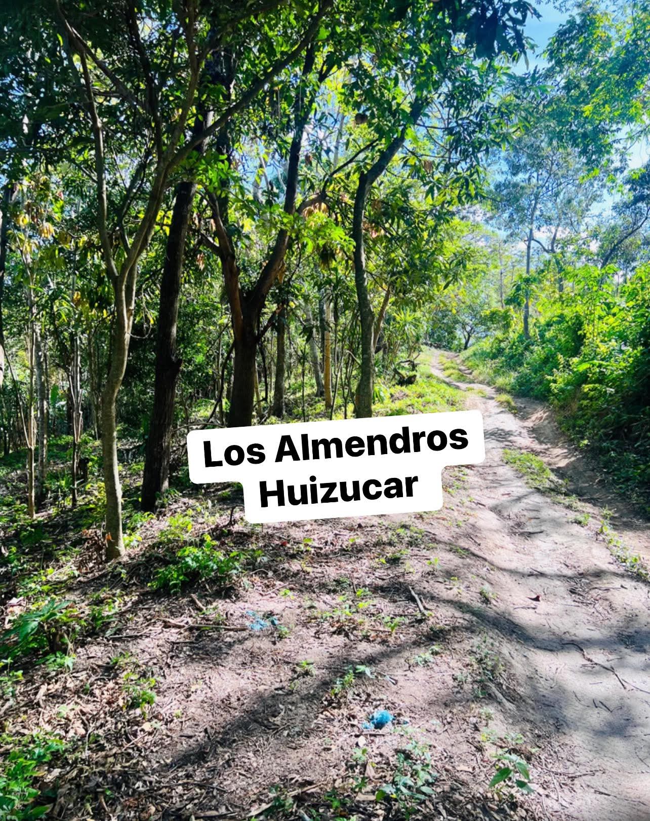 HUIZUCAR LOS ALMENDRO LA LIBERTAD