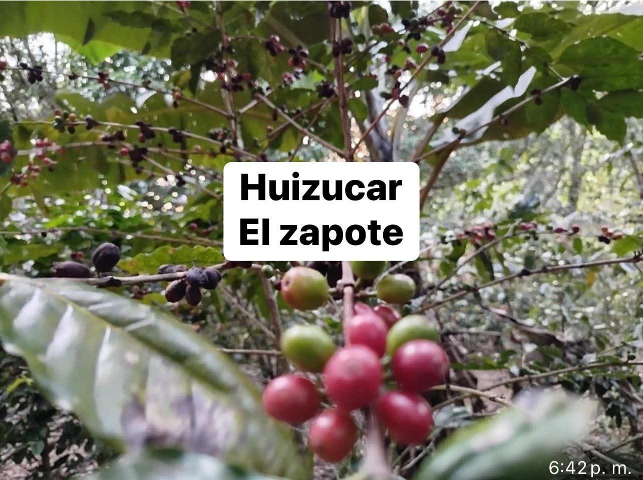 HUIZUCAR EL ZAPOTE 1.5 MANZANAS