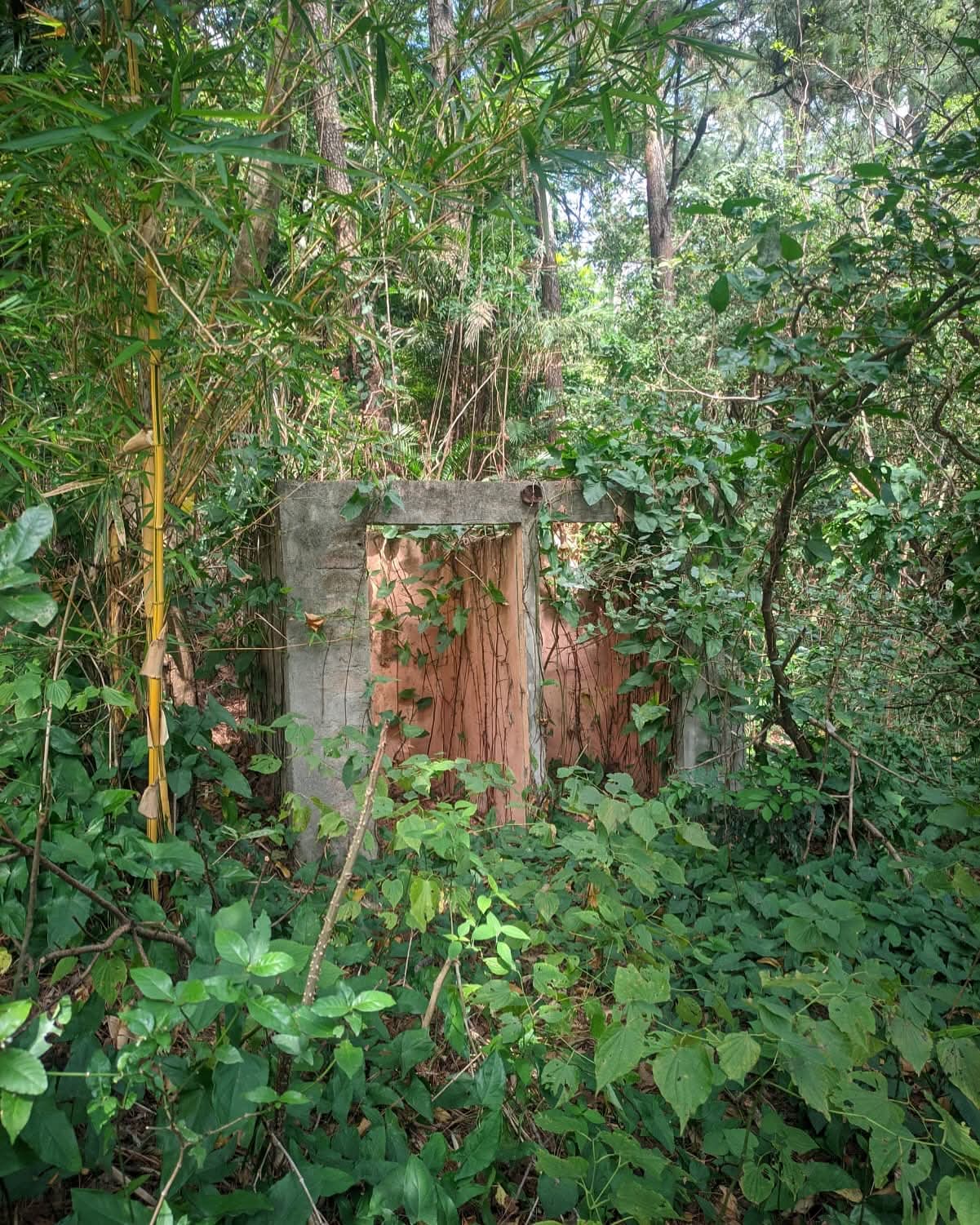 TERRENO QUEZALAPA 1 9MNZNS SAN SALVADOR