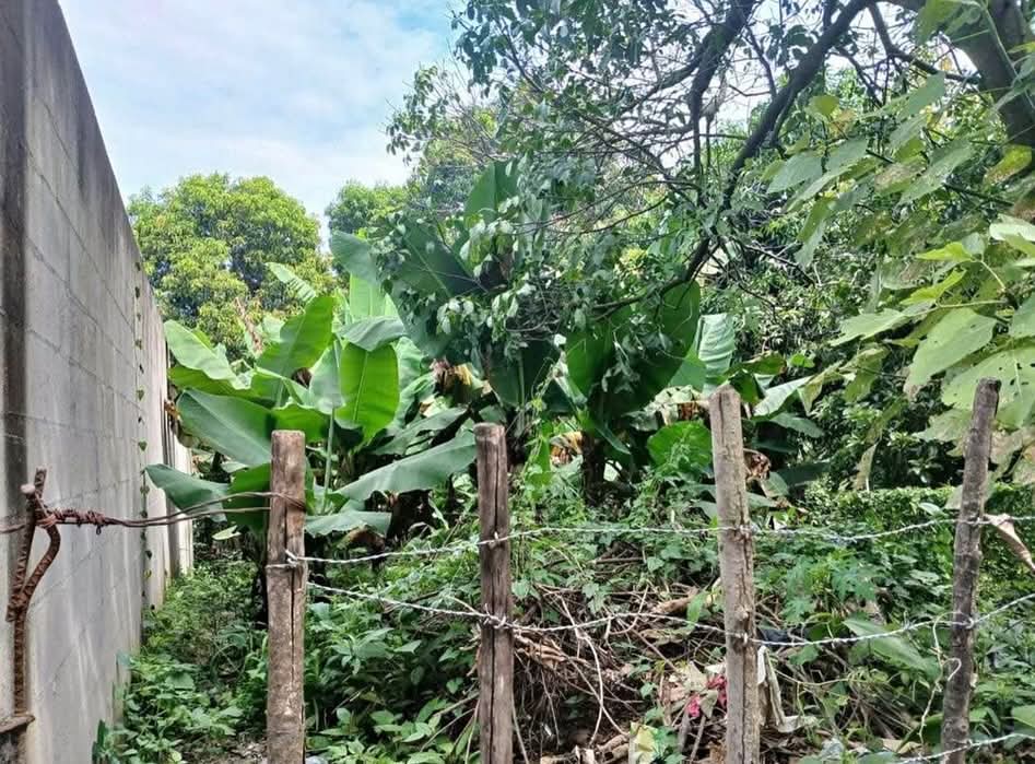 TERRENO MARIONA SAN SALVADOR