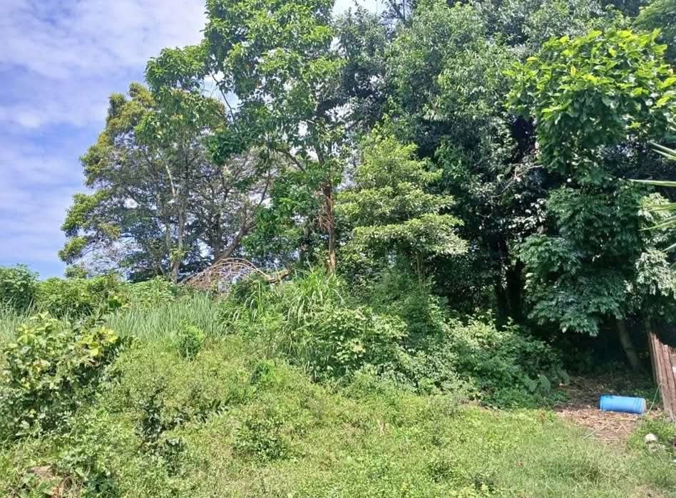 TERRENO MARIONA SAN SALVADOR