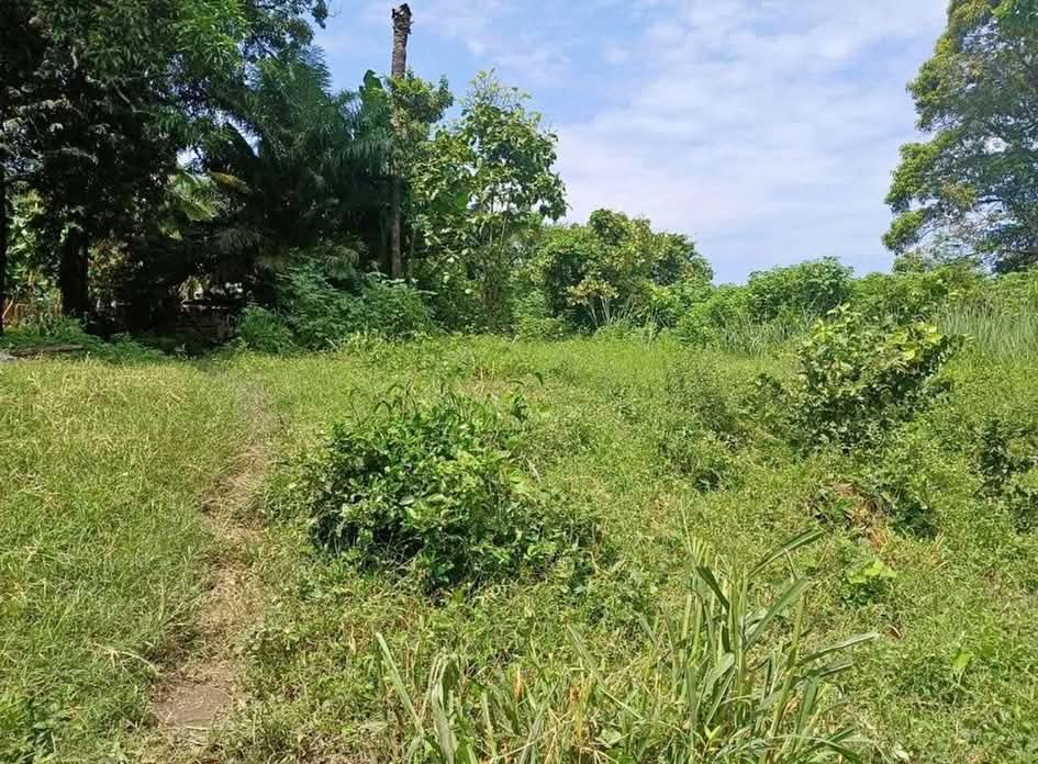 TERRENO MARIONA SAN SALVADOR