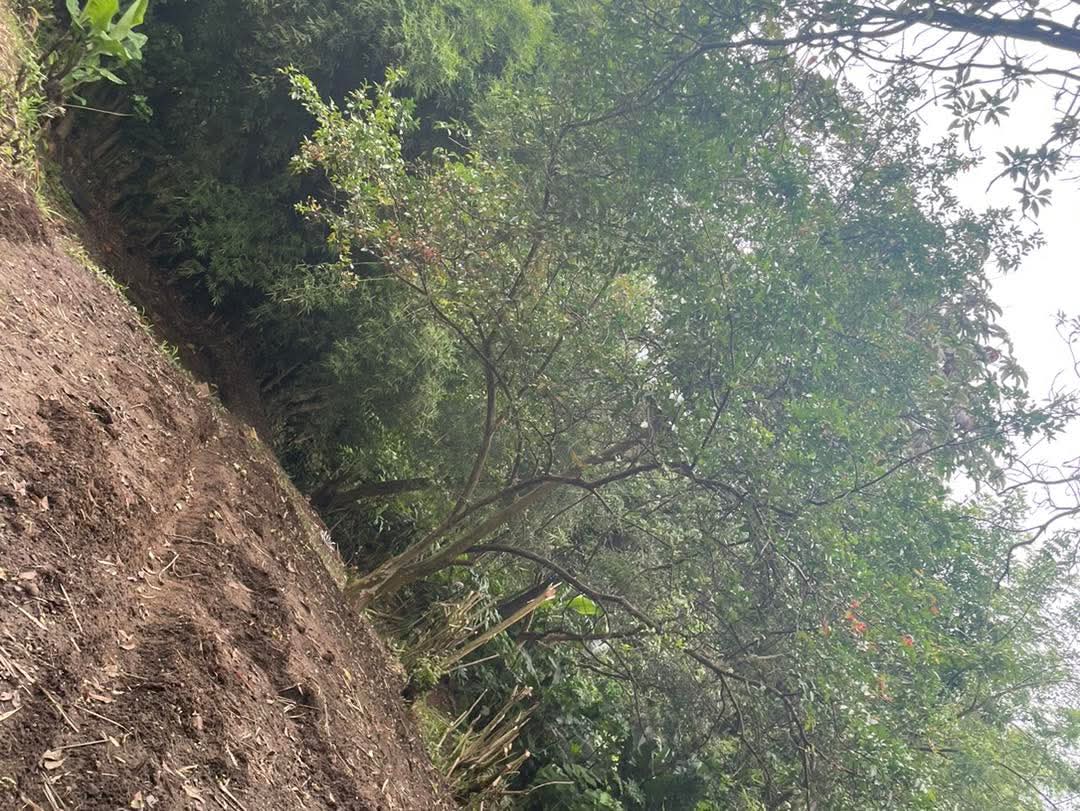 TERRENO BAJANDO LA CIMA SAN SALVADOR