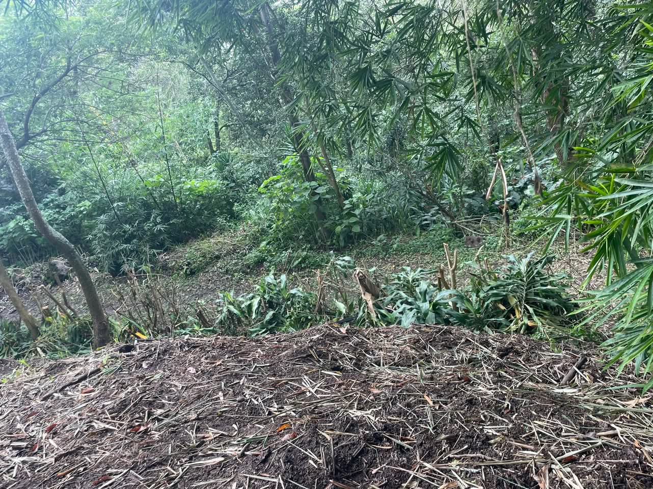 TERRENO BAJANDO LA CIMA SAN SALVADOR