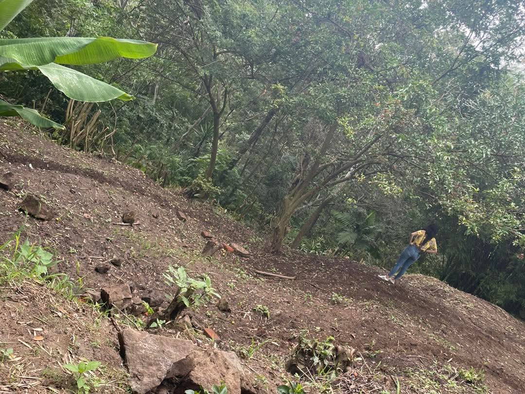 TERRENO BAJANDO LA CIMA SAN SALVADOR