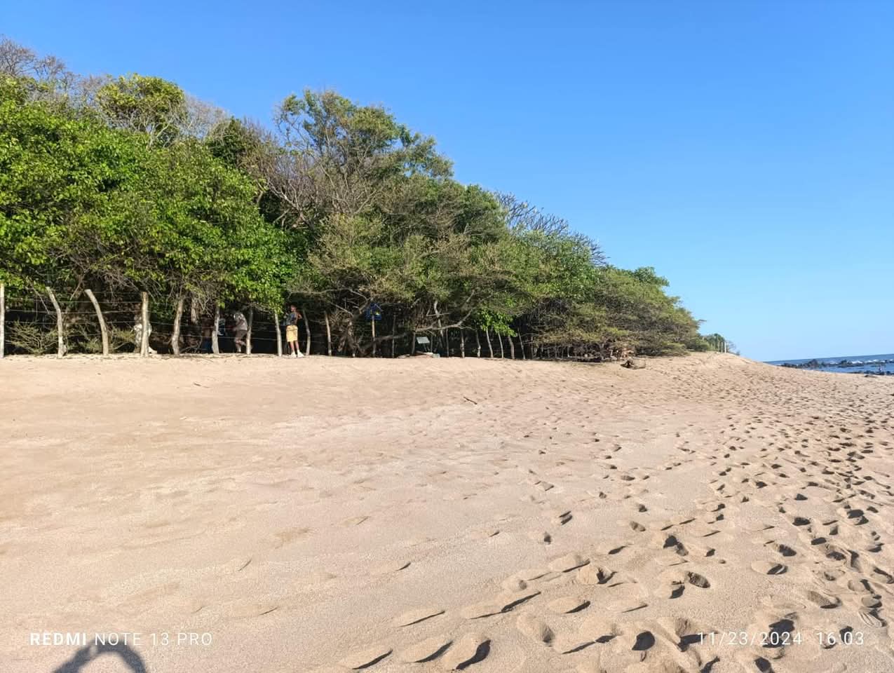 SONSONATE PLAYA LOS COBANOS TERRENO 10 MANZANAS