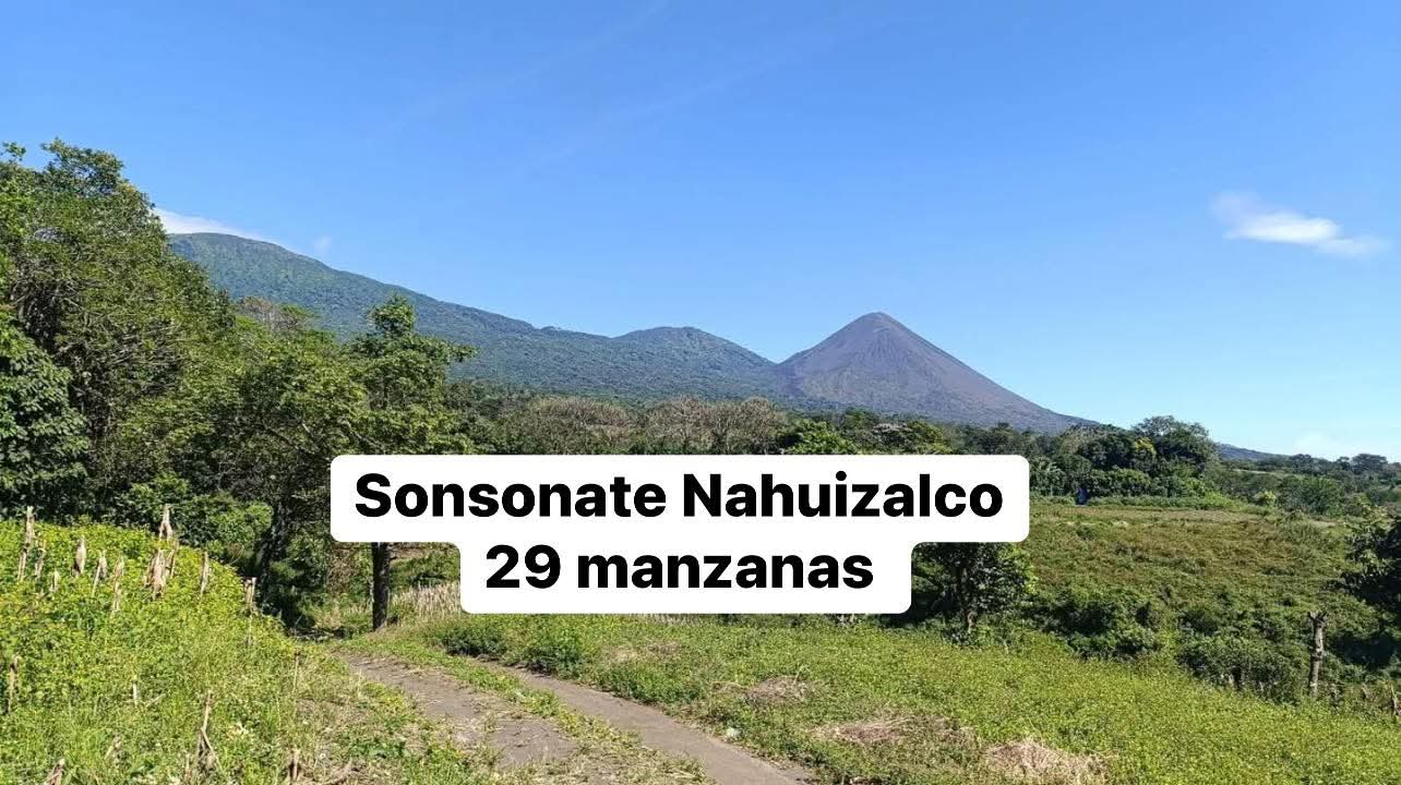 SONSONATE NAHUIZALCO 29 MANZANAS