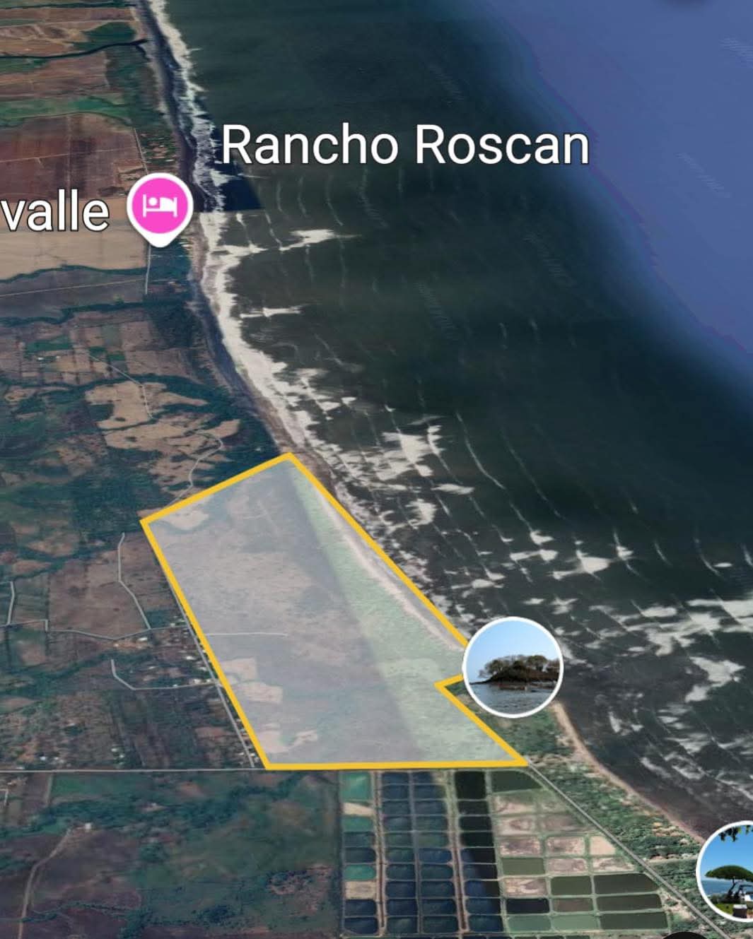 SONSONATE PLAYA LOS COBANOS TERRENO 8MNZNS