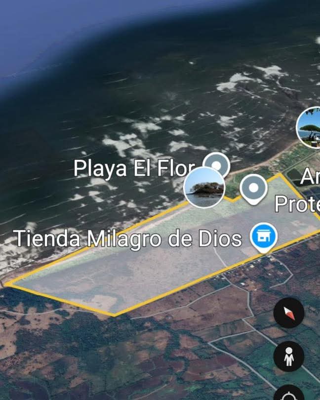 SONSONATE PLAYA LOS COBANOS TERRENO 8MNZNS