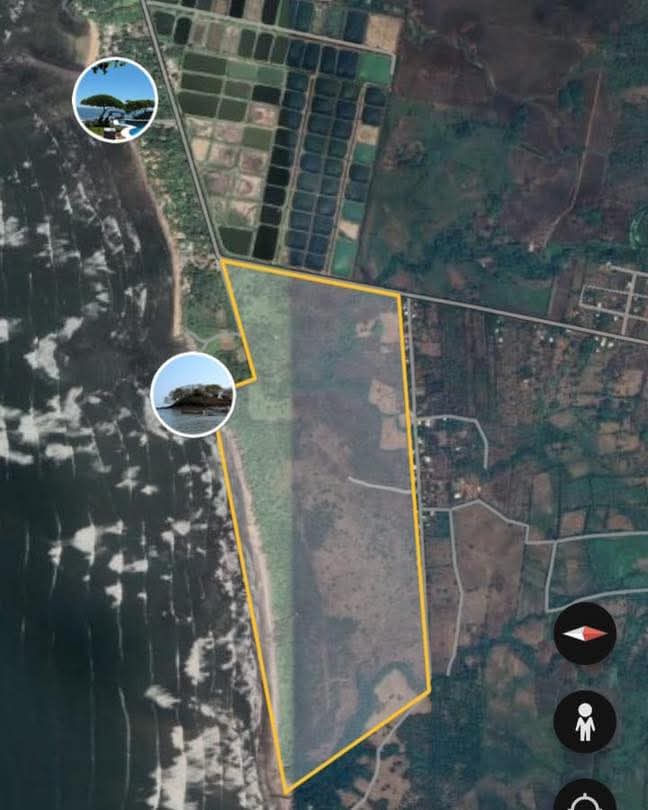 SONSONATE PLAYA LOS COBANOS TERRENO 8MNZNS