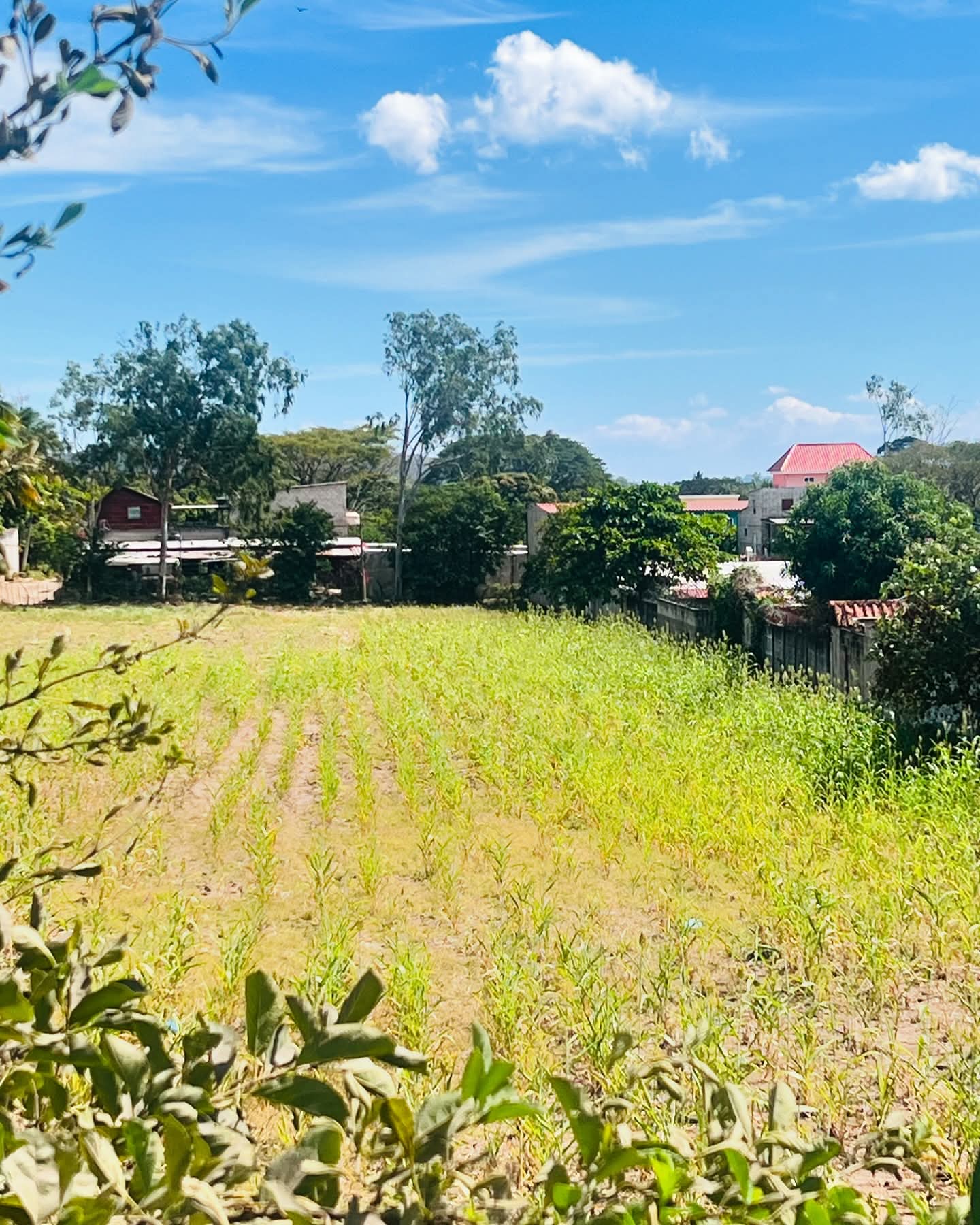 SANTA ANA TERRENO PLANO CARRETERA A METAPAN 