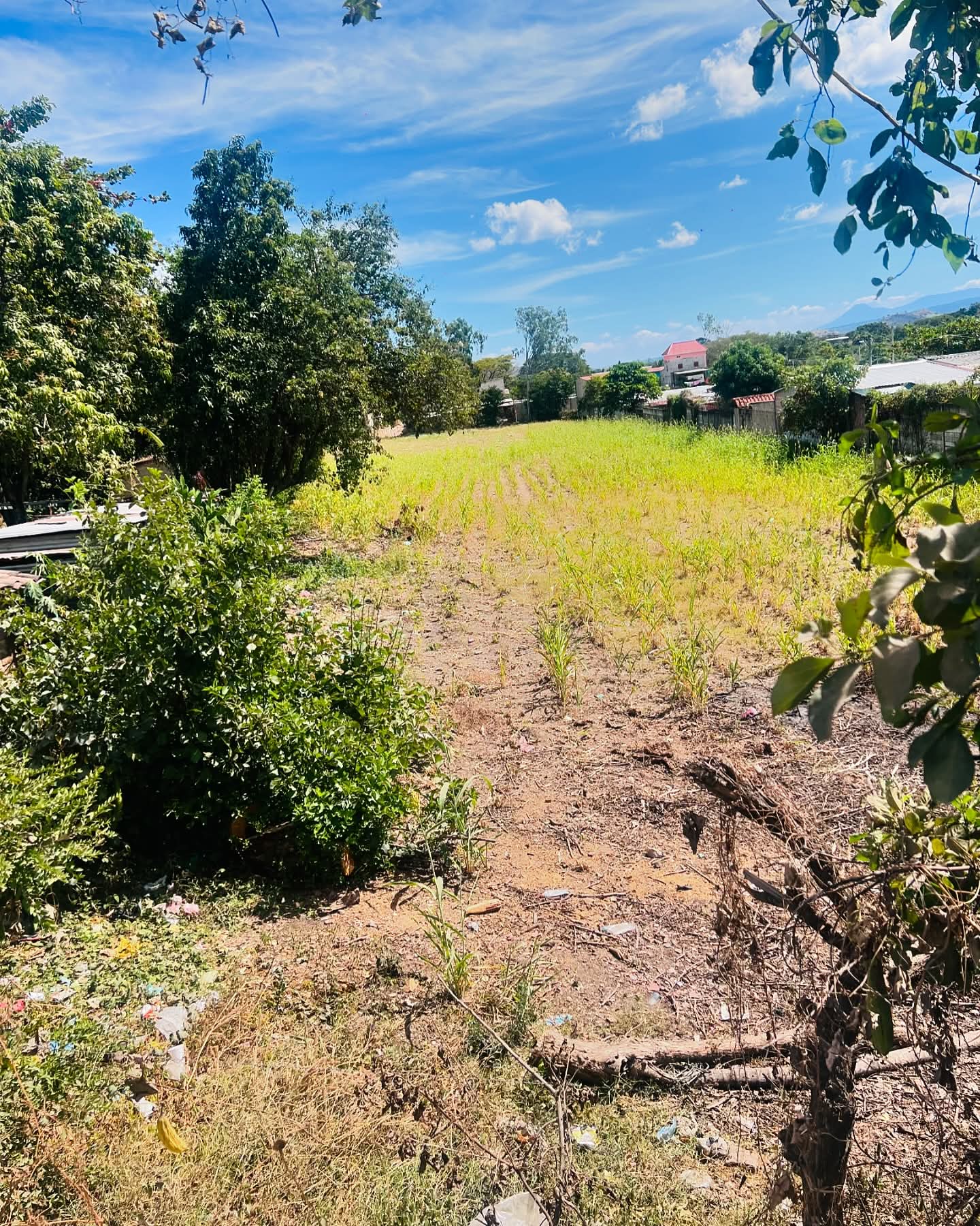 SANTA ANA TERRENO PLANO CARRETERA A METAPAN 