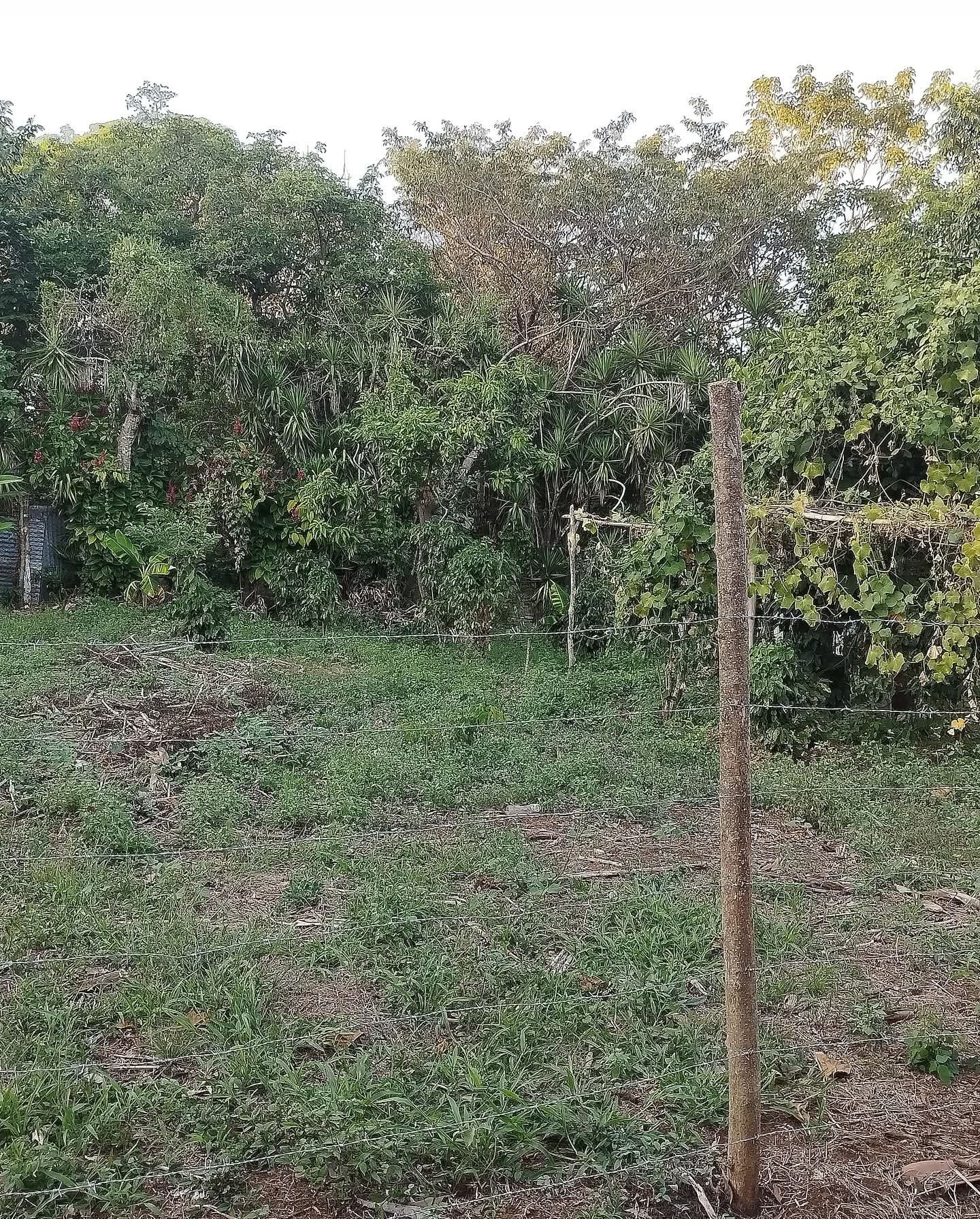 SANTA ANA CASERIO LAS MERCEDES