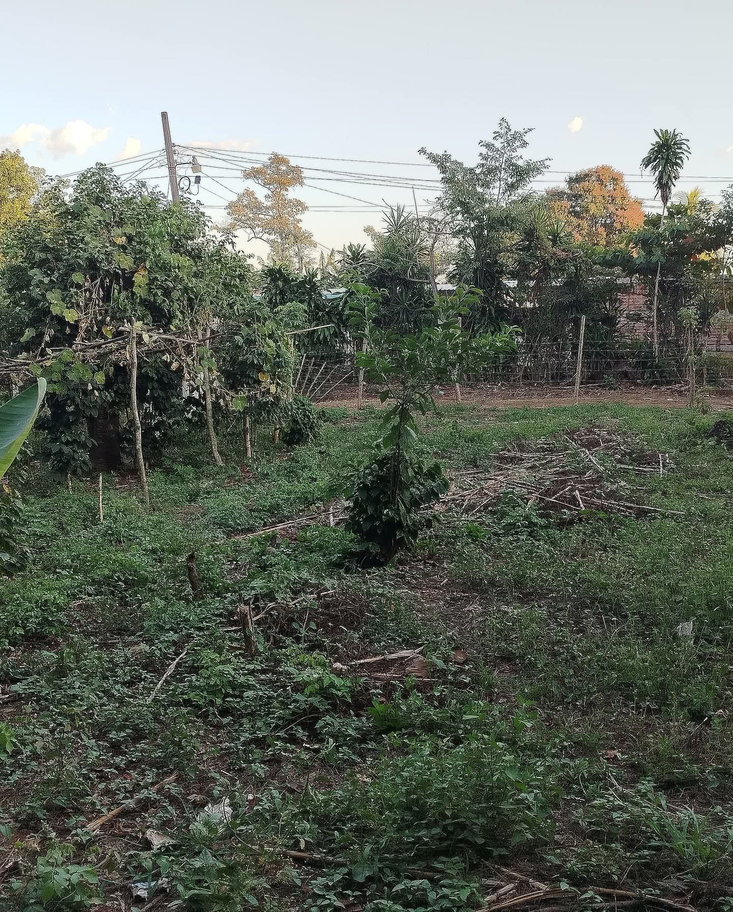 SANTA ANA CASERIO LAS MERCEDES