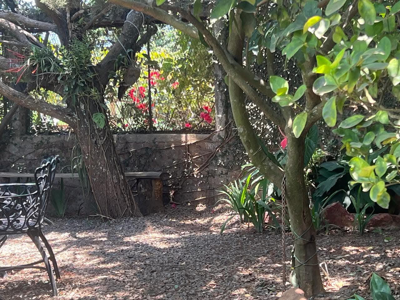 SONSONATE SE VENDE CABAÑA JUAYUA SAN JOSE DE LA MAJADA 