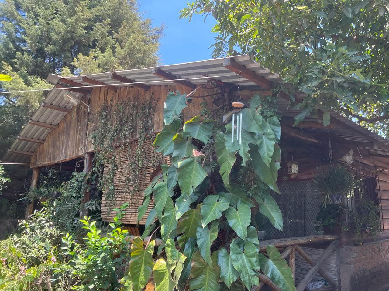 SONSONATE SE VENDE CABAÑA JUAYUA SAN JOSE DE LA MAJADA 