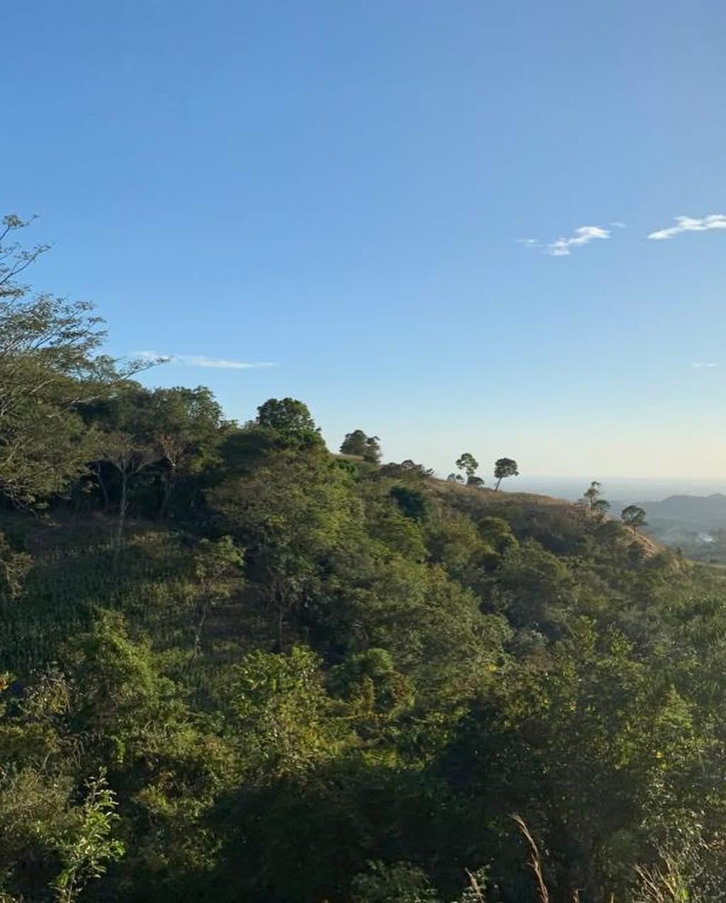 LA PAZ CATON SAN JUAN NAHUISTEPEQUE