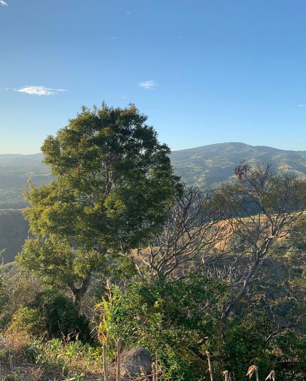 LA PAZ CATON SAN JUAN NAHUISTEPEQUE