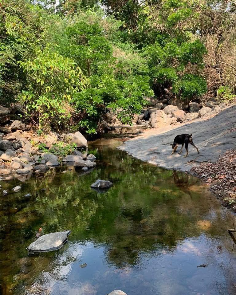 LA PAZ CATON SAN JUAN NAHUISTEPEQUE