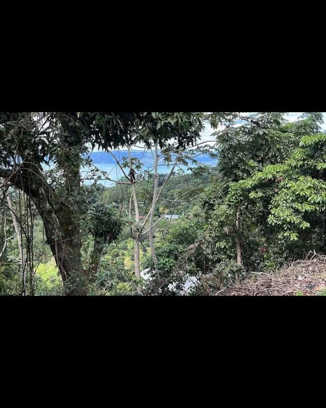 32 MANZANAS SAN MIGUEL TEPEZONTES CANTON SOLEDAD