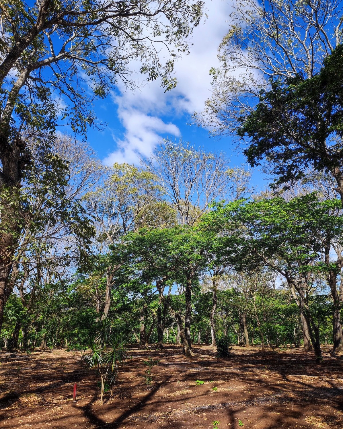 LOTES RES PRIVADA A 2KM DEL CENTRO DE AHUACHAPAN