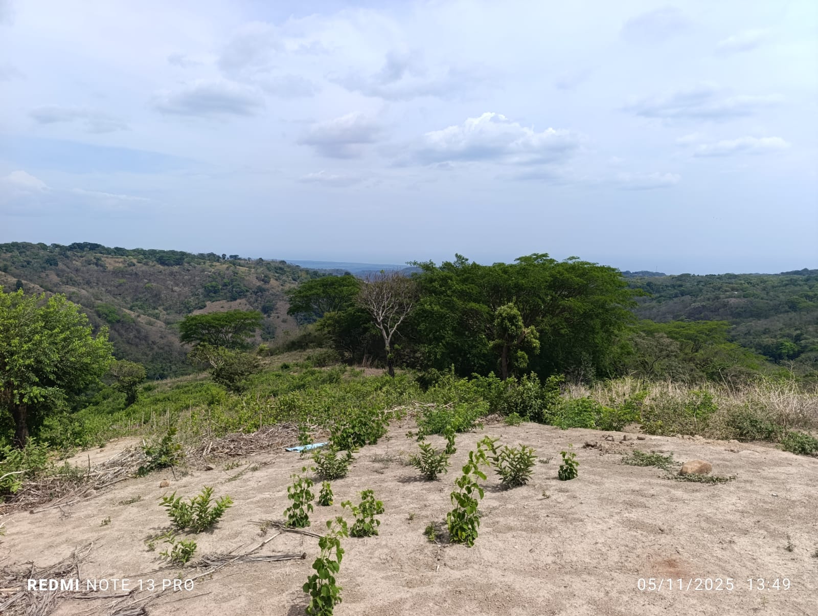 HUIZUCAR LA ESPERANZA LA LIBERTAD