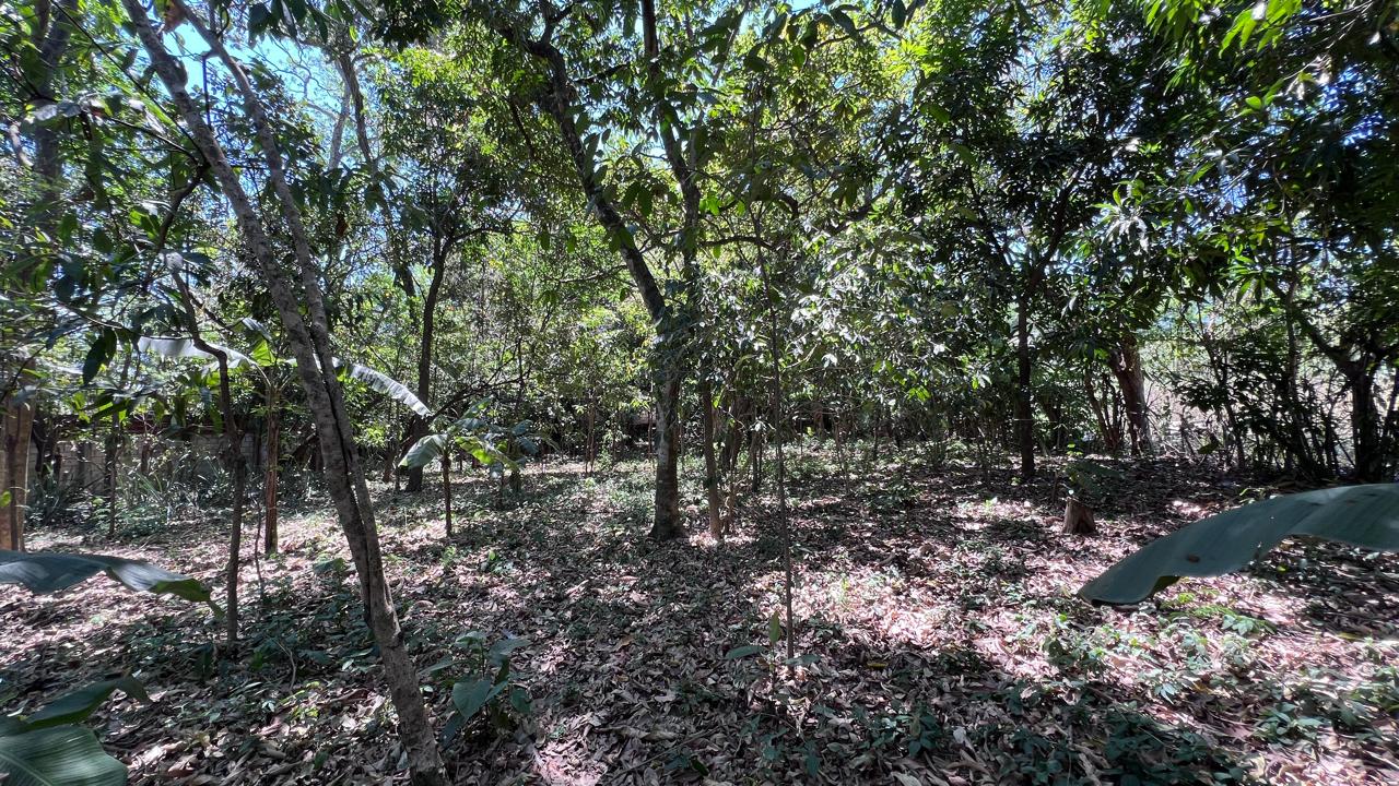 TERRENO CON CASA DE CAMPO CERCA DE LA CONSTANCIA