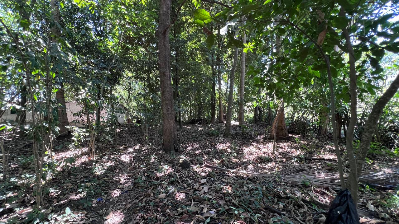 TERRENO CON CASA DE CAMPO CERCA DE LA CONSTANCIA