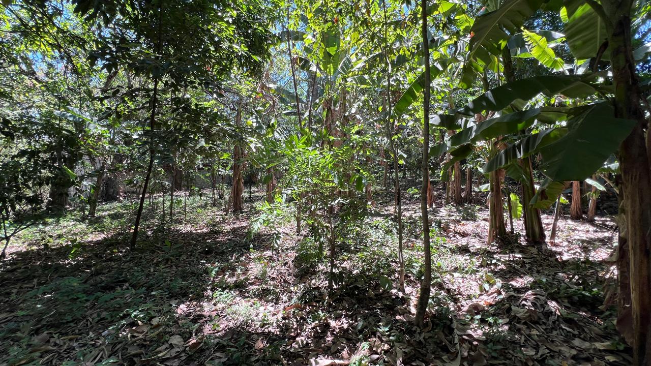 TERRENO CON CASA DE CAMPO CERCA DE LA CONSTANCIA