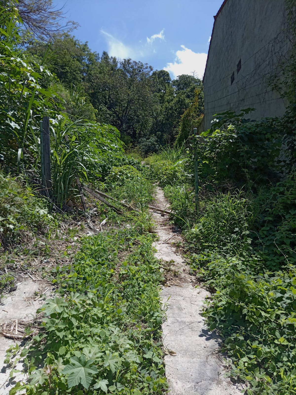 TERRENO CUMBRES DE LA ESCALON 