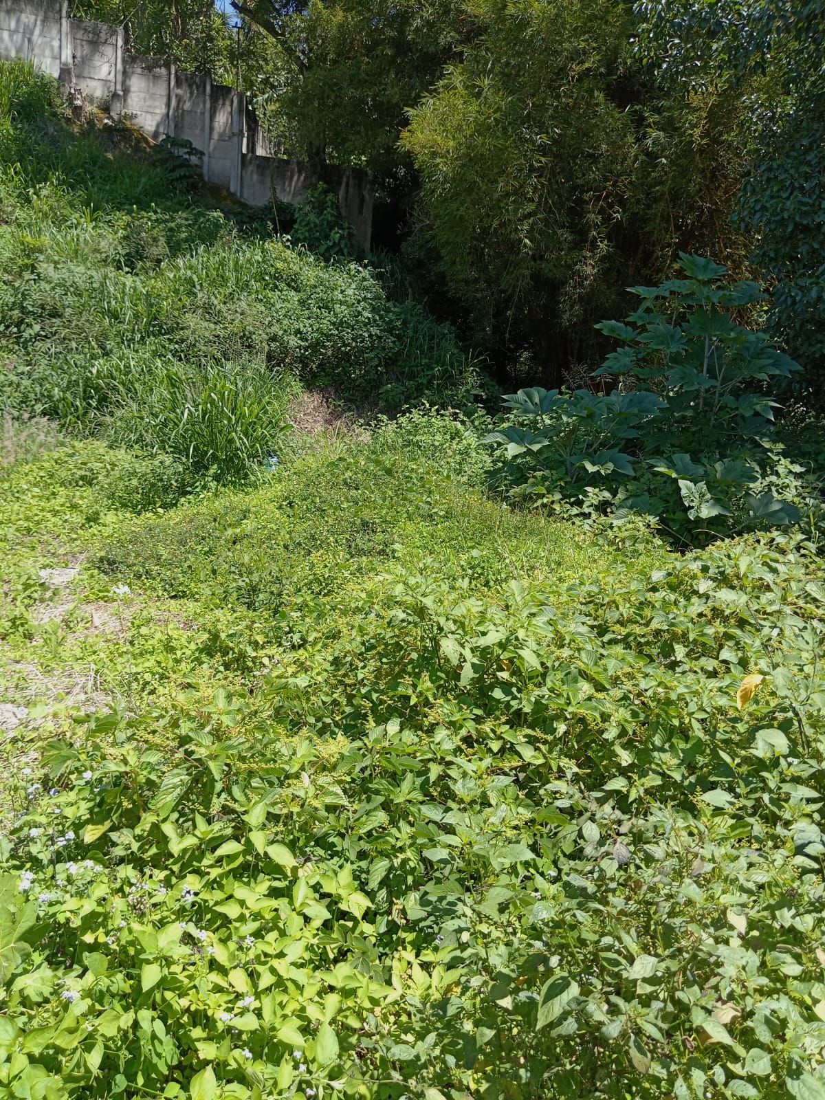 TERRENO URBANIZACION 2,002 PARTE ALTA DEL ESCALON 