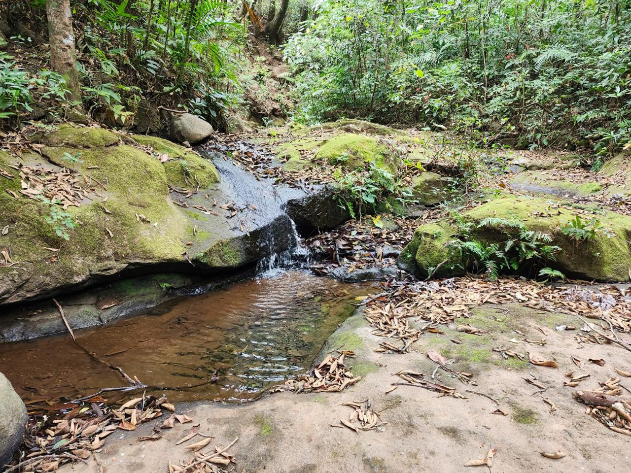 TERRENO 8MNZNS TACUBA AHUACHAPAN EL SINCUYO
